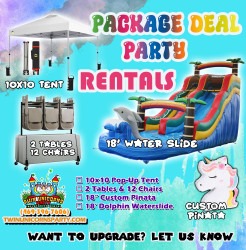 18 Dolphin Water Slide Package