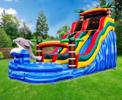 1820ft20Dolphin2020Water20Silde20Real20Background 1740083 1 18FT Dolphin Tropical Water Slide