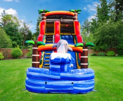 1820ft20Dolphin2020Water20Silde20Real20Front20Background 1 18FT Dolphin Tropical Water Slide