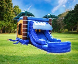 Tropical20Wave20wet dry2001 1740667566 Tropical Wave Bouncer with Slide Wet or Dry