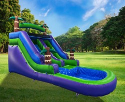 10ft20Palm20Paradise20Water20Slide20 20Field01 1755790304 1 10ft Palm Paradise Water Slide